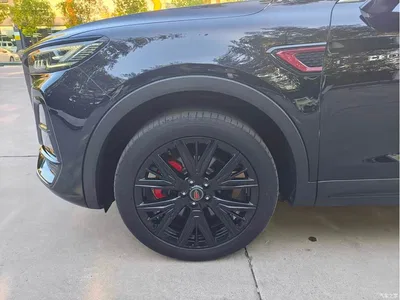 2025 Hongqi HS5 2.0T 2WD Mystic Shadow Edition, фото 4, лот 10414972