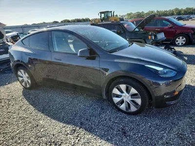2024 TESLA MODEL Y, фото 4, лот 10856692