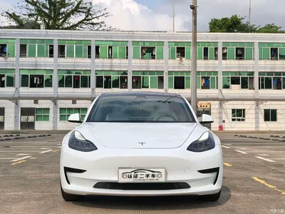 2021 Tesla Model 3 Standard Range Rear-Wheel Drive Upgrade 3D6, фото 1, лот 10352076