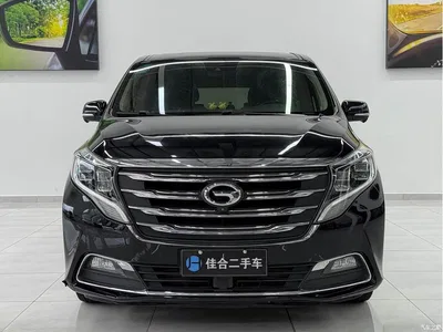 2018 GAC Trumpchi Trumpchi M8 320T Flagship Edition, фото 1, лот 10417335