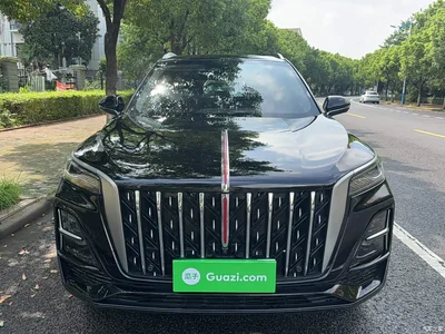 2026 Hongqi HS5 2.0T 2WD Qi Enjoyment Pro Edition, фото 3, лот 10289165