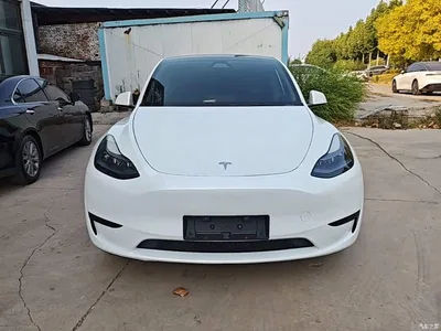 2024 Tesla Model Y Rear-Wheel Drive Version, фото 3, лот 11214969