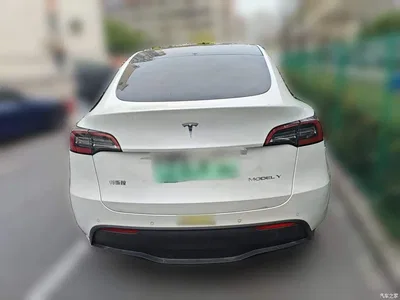 2021 Tesla Model Y Standard Range Rear-Wheel Drive, фото 4, лот 10389880