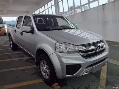 2021 Great Wall Fengjun 5 Model 2.0T Diesel 2WD Super Value Large Double Cab China VI GW4D20M, фото 4, лот 11218072