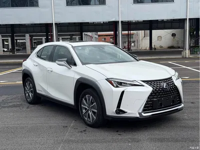 2020 Lexus UX Electric 300e Pure Yue Edition, фото 3, лот 10315883