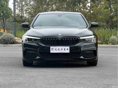 2019 BMW 5 Series 530Li Leading M Sport Package, фото 2, лот 11139262