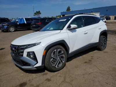 2025 HYUNDAI TUCSON LIMITED, фото 1, лот 10750352