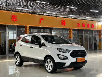 2018 Ford EcoSport 1.5L Automatic Platinum Wing, фото 3, лот 10296928