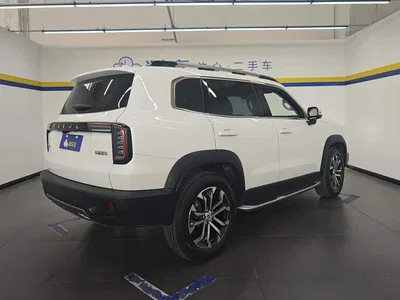 2021 Haval Big Dog 1.5T DCT 2WD Border Collie Edition, фото 3, лот 10478942