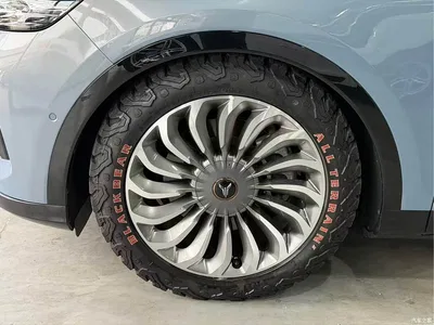 2021 Voyah Auto VOYAH FREE AWD Standard Extended Range Edition, фото 4, лот 11214810