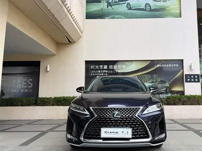 2020 Lexus RX 300 4WD Elegance Edition China VI, фото 3, лот 10672181