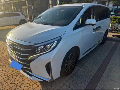 2021 GAC Trumpchi Trumpchi M8 Leading Show Series 390T Ultimate Edition, фото 1, лот 11008052