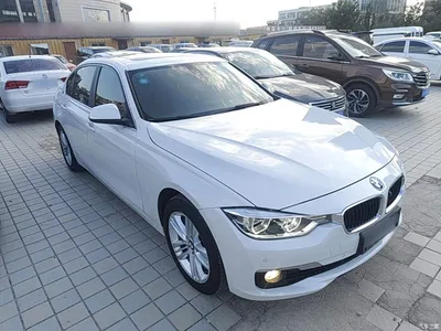 2016 BMW 3 Series 320Li Progressive, фото 4, лот 10457472
