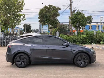 2025 Tesla Model Y Rear-Wheel Drive, фото 3, лот 10838043