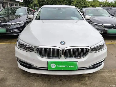 2020 BMW 5 Series New Energy 530Le Range Upgrade Luxury Package, фото 3, лот 10474064