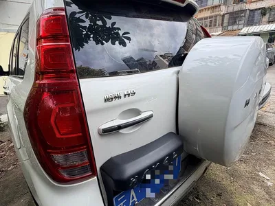 2017 Haval H9 2.0T Petrol 4WD Luxury 7-seater, фото 3, лот 10297262