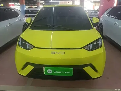 2024 BYD Seagull Glory Edition 305km Vitality Edition, фото 3, лот 11018346