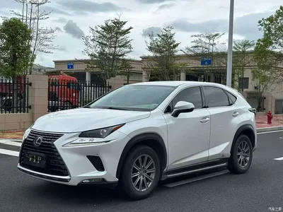 2020 Lexus NX 200 FWD Sharp Edition China V, фото 1, лот 10313493
