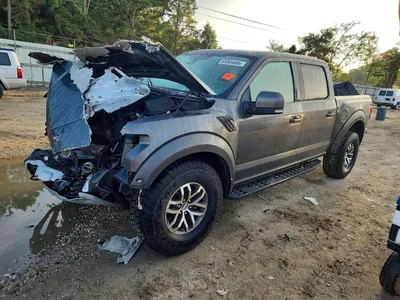 2018 FORD F-150 SUPER CREW - RAPTOR, фото 1, лот 10983082