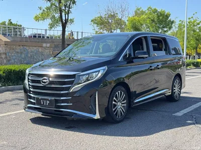 2021 GAC Trumpchi Trumpchi M8 Leading Show Series 390T Ultimate Edition, фото 1, лот 10419696