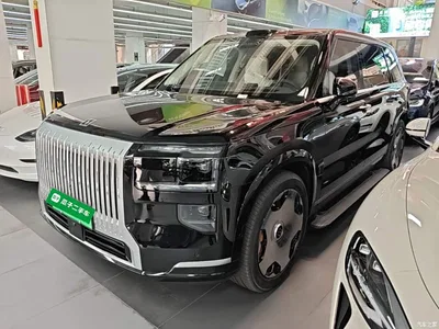 2025 ZEEKR 9X Model Standard, фото 1, лот 10900544