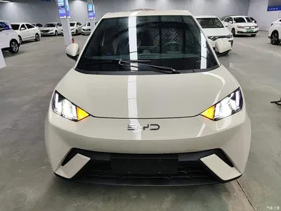 2024 BYD Seagull Glory Edition 305km Vitality Edition, фото 3, лот 10262888