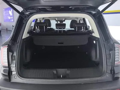 2021 Haval Big Dog 1.5T DCT 2WD Border Collie Edition, фото 4, лот 10361816