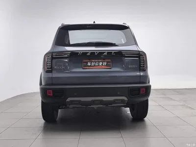 2021 Haval Big Dog 1.5T DCT 2WD Labrador Edition, фото 4, лот 10361769