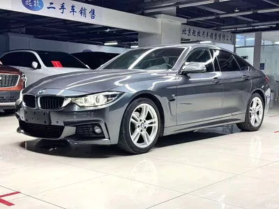 2017 BMW 4 Series 425i Gran Coupe Leading M Sport Package, фото 1, лот 10468268