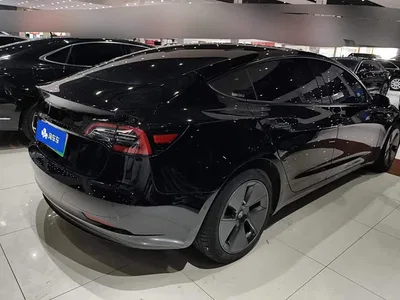 2022 Tesla Model 3 Model Rear-Wheel Drive Version, фото 3, лот 10354419
