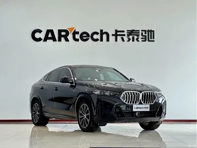 2023 BMW X6 xDrive30i M Sport Package, фото 4, лот 11204719