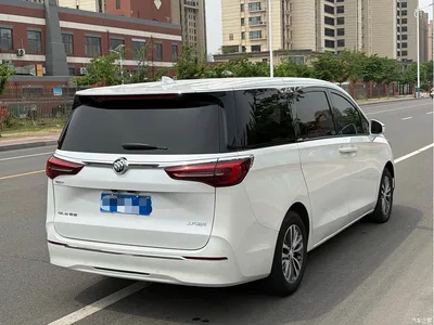 2020 Buick GL8 Model ES Landglory 653T Premium, фото 4, лот 10257477