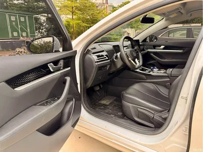 2021 BYD Qin PLUS EV 400KM Premium Edition, фото 4, лот 10364003