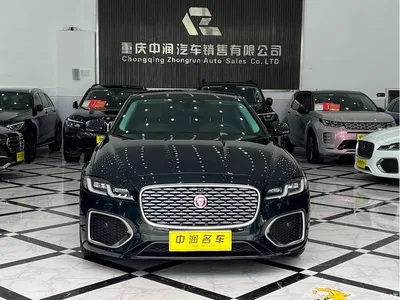 2024 Jaguar XFL 2.0T P250 2WD Premium Luxury, фото 2, лот 10360384