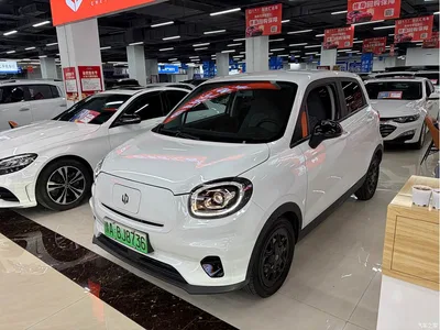 2025 Leapmotor T03 Model 310 Comfort Edition, фото 1, лот 11547656