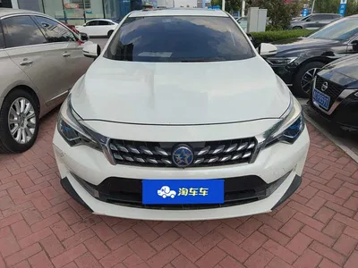 2019 Venucia D60 100K Glory 1.6L XL CVT Chen Ku Edition China VI, фото 2, лот 11153747