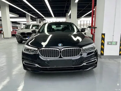 2019 BMW 5 Series 530Li Premium Luxury Package, фото 2, лот 11215995