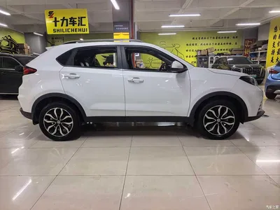 2017 MG Roewe RX5 20T Automatic Premium Edition, фото 3, лот 10356043