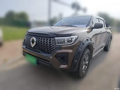 2023 Great Wall Pao 2.0T Commercial Auto Diesel 4WD Long Cargo Business Version, фото 2, лот 10248904