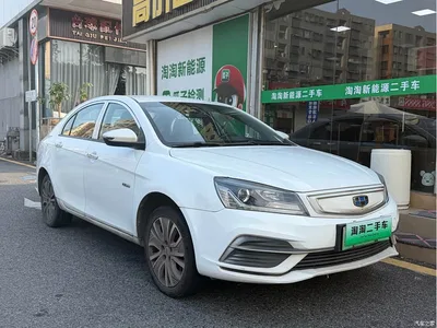 2018 Geely Emgrand New Energy EV450 Progressive, фото 3, лот 11409249