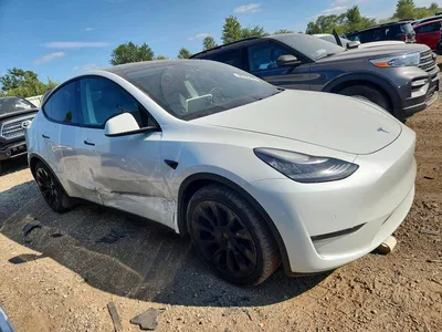 2020 TESLA MODEL Y, фото 4, лот 10854818