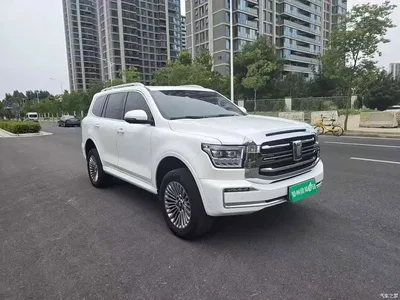 2024 Tank 500 EV Hi4-T, фото 3, лот 10344446