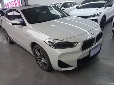 2021 BMW X2 sDrive25i Leading M Sport Package, фото 4, лот 11247562