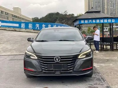 2021 Changan Ruicheng CC Blue Whale Edition 1.5T DCT Flagship, фото 2, лот 10764739