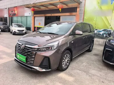 2023 Buick GL8 Facelift Land Business Class Luxury, фото 1, лот 10262055