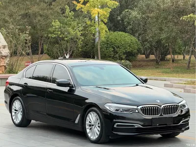 2020 BMW 5 Series 530Li Leading Luxury Package, фото 3, лот 11196093