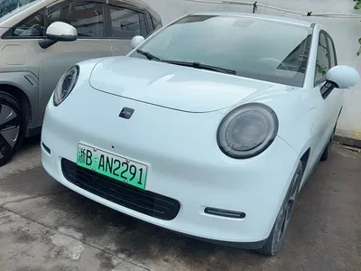 2024 JAC Yiwei Yiwei 3 Beloved Edition 405km Lite, фото 1, лот 11148224