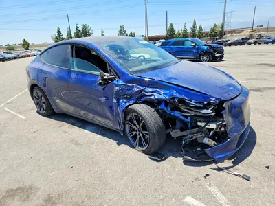 2024 TESLA MODEL Y, фото 4, лот 10801439