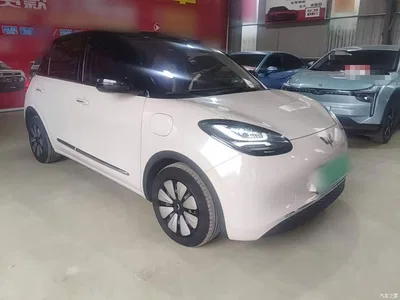 2024 Wuling Motors Wuling Bingo 333km Comfort Edition, фото 4, лот 11067687