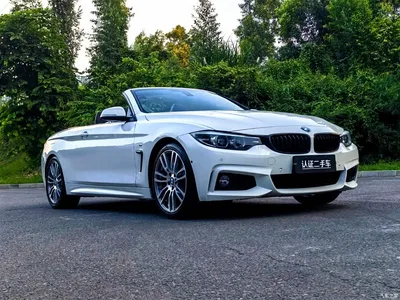 2019 BMW 4 Series 430i Convertible M Sport Shadow Edition, фото 3, лот 11243734